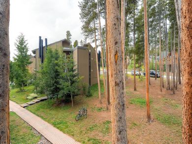 Breckenridge Condo 926872