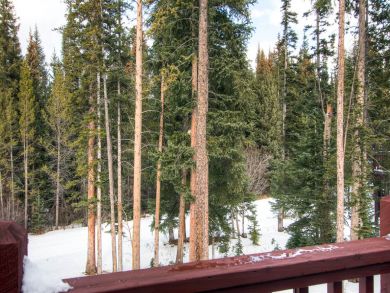 Breckenridge Home 926874