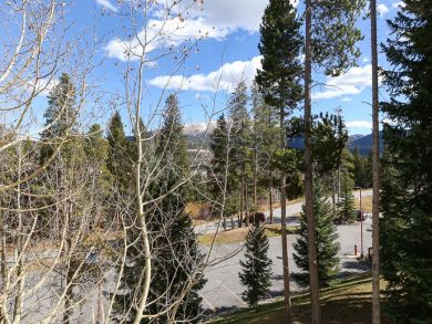 Breckenridge Condo 926877 Breckenridge Condo 926877