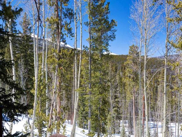 3 plus Den private Mountain Cabin 10 min drive to Main St