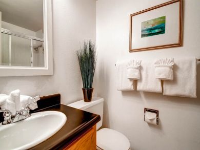 Breckenridge Condo 926885 Breckenridge Condo 926885