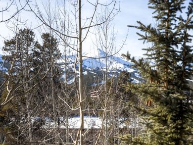 Breckenridge Condo 926888