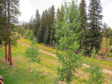 Breckenridge Condo 926894