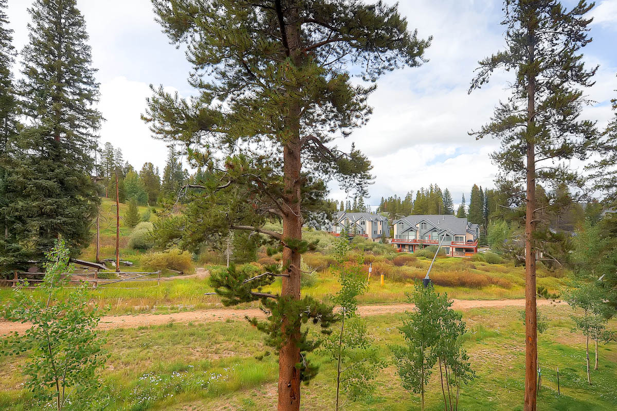 Breckenridge Condo 926894