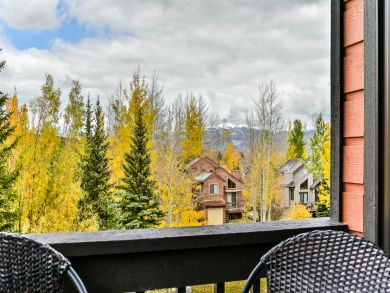 Breckenridge Condo 926898