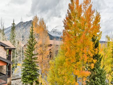 Breckenridge Condo 926898