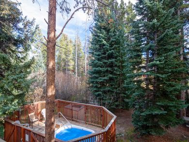 Breckenridge Condo 926904