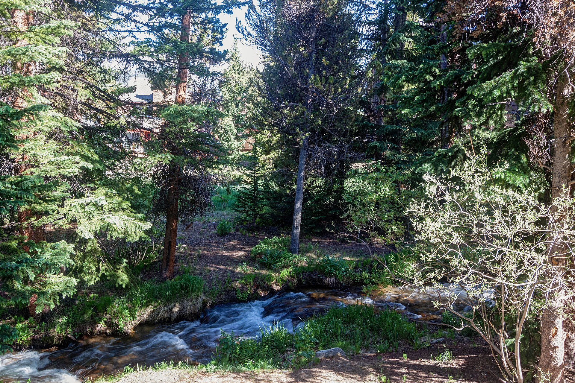 Breckenridge Condo 926904