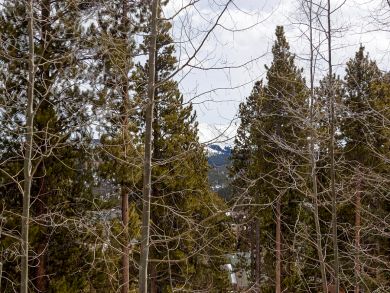 Breckenridge Home 926919