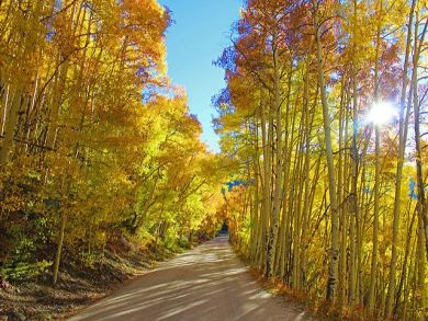 Breckenridge Condo 926931