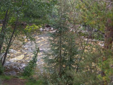 Breckenridge Condo 926939