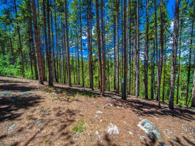 Breckenridge Condo 926943