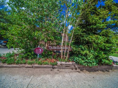 Breckenridge Condo 926959