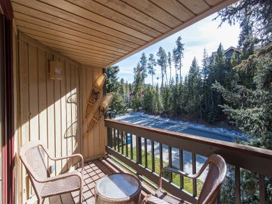 Breckenridge Condo 926961