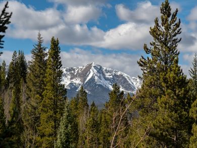 Breckenridge Home 926967