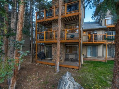 Breckenridge Condo 926968