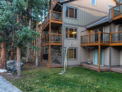 Breckenridge Condo 926968