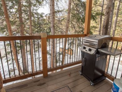 Breckenridge Condo 926968