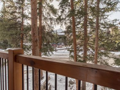 Breckenridge Condo 926968
