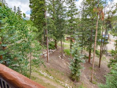 Breckenridge Condo 926978