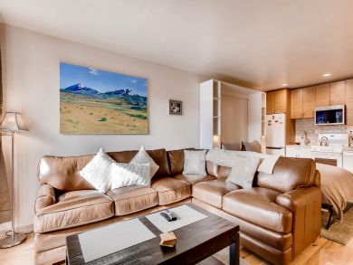 Breckenridge Condo 926984