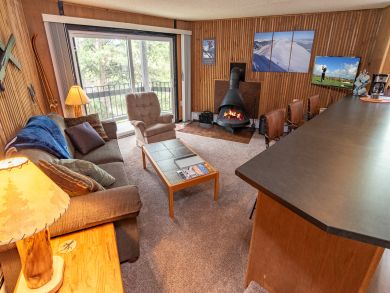 Breckenridge Condo 926991