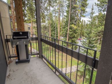 Breckenridge Condo 926991