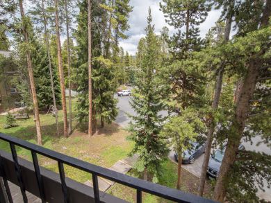 Breckenridge Condo 926991