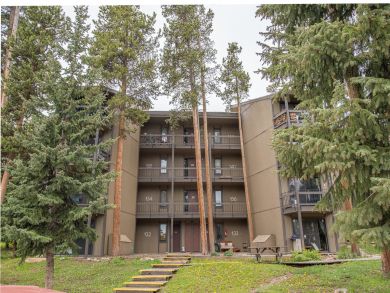 Breckenridge Condo 926991
