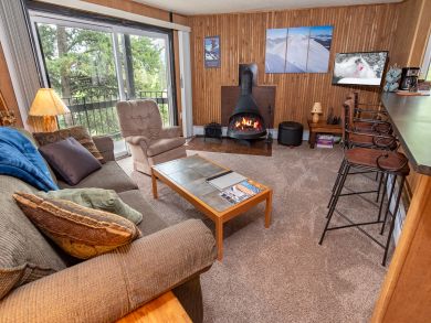 Breckenridge Condo 926991