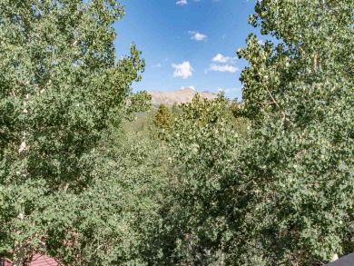 Breckenridge Condo 926994