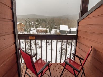 Breckenridge Condo 926995