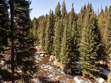 Breckenridge Condo 926996