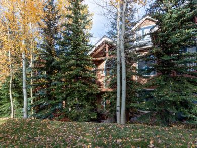 Breckenridge Home 927000