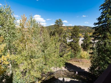 Breckenridge Condo 927001