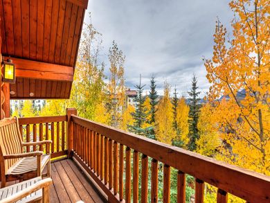 Telluride Condo 927066