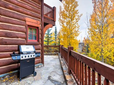 Telluride Condo 927066
