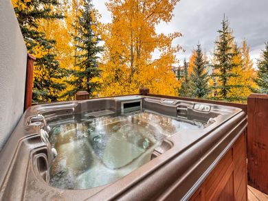 Telluride Condo 927068