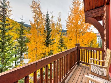 Telluride Condo 927068