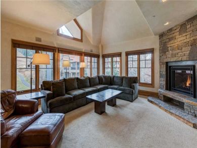 Telluride Home 927071