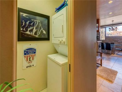 Telluride Condo 927076