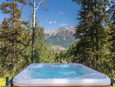 Telluride Home 927080