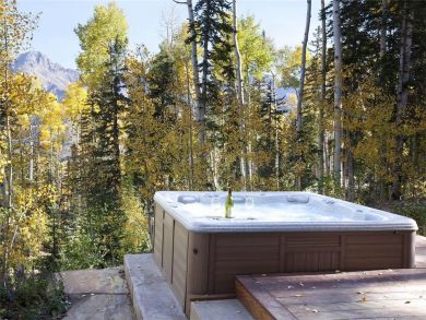 Telluride Home 927085