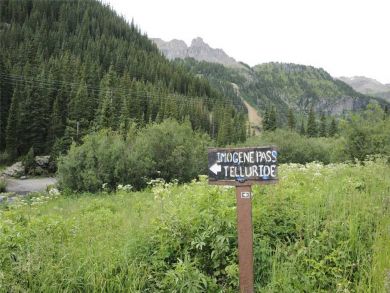 Telluride Home 927096