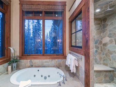 Telluride Home 927148