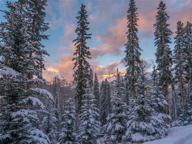 Telluride Home 927148