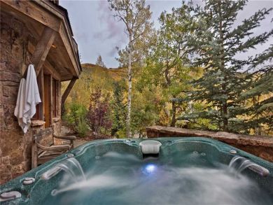 Steamboat Springs Home 927193