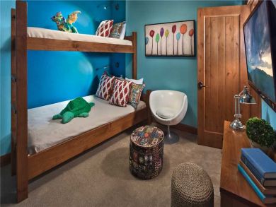 Steamboat Springs Home 927195