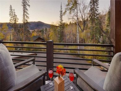 Steamboat Springs Home 927198