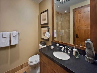 Steamboat Springs Home 927209